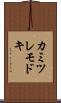 カミツレモドキ Scroll