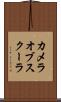 カメラオブスクーラ Scroll