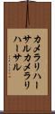 カメラリハーサル Scroll