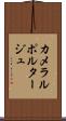 カメラルポルタージュ Scroll