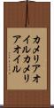 カメリアオイル Scroll