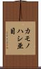 カモノハシ亜目 Scroll
