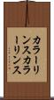 カラーリンス Scroll