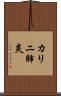 カリニ肺炎 Scroll