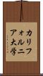 カリフォルニア大学 Scroll