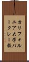 カリフォルニア大学バークレー校 Scroll