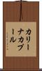 カリーナカプール Scroll