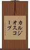 カルジオスコープ Scroll