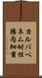 カルバペネム耐性腸内細菌 Scroll