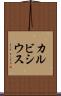 カルビシウス Scroll