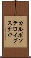 カルボソテロイブステロ Scroll