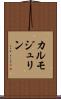 カルモジュリン Scroll