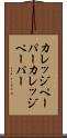 カレッジペーパー Scroll
