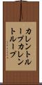 カレントループ Scroll