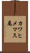 カワヒメマス属 Scroll