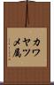 カワヤツメ属 Scroll