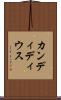 カンディディウス Scroll