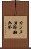 カンヌ国際映画祭 Scroll