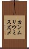 カンムリウミスズメ Scroll