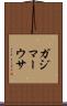 ガジマーウサ Scroll