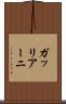 ガッリアーニ Scroll
