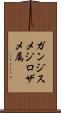 ガンジスメジロザメ属 Scroll