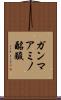 ガンマアミノ酪酸 Scroll