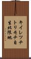 キイレツチトリモチ自生北限地 Scroll
