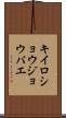 キイロショウジョウバエ Scroll