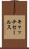 キャッチ・セールス Scroll