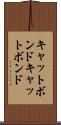 キャットボンド Scroll