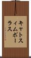 キャトスィムポーラス Scroll