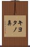 キヨタノ鼻 Scroll