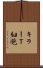 キラーＴ細胞 Scroll