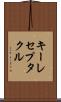 キーレセプタクル Scroll