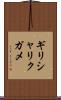 ギリシャリクガメ Scroll