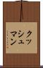 クッシュマン Scroll