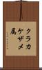 クラカケザメ属 Scroll