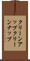 クリーンアップ Scroll