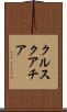 クルスクアチア Scroll