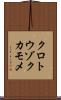 クロトウゾクカモメ Scroll