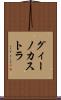 グィーノカストラ Scroll