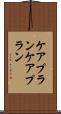 ケアプラン Scroll