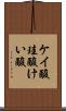 ケイ酸 Scroll