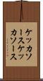 ケッカソース Scroll