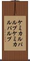 ケミカルパルプ Scroll