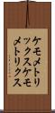 ケモメトリックス Scroll
