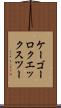ケーゴーロクエックスツー Scroll