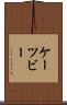 ケーツビー Scroll