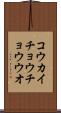 コウカイチョウチョウウオ Scroll